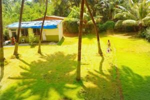 Palghar 3-day beach fest has music, local food and camping