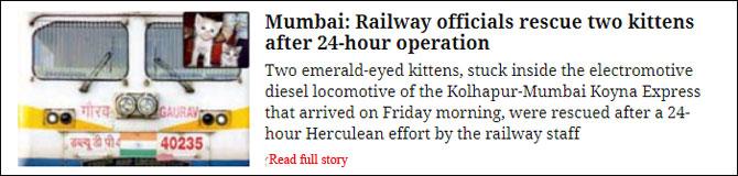 Mumbai: Railway Officials Rescue Two Kittens After 24-Hour Operation