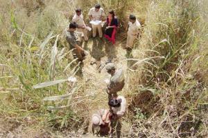Mumbai: Leopard found dead, was it another case of suspected roadkill?