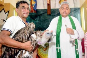 Himalayan vulture Booboo rescued in Reay Road gets blessing from Church