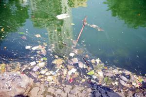 Experts look for solutions to stop aquatic life deaths in Banganga tank
