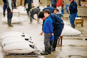 World's largest fish market in Tokyo shuts after 83 years