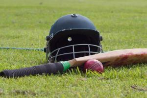 Maharashtra's Fallah, Andhra's Vihari shine but their teams lose