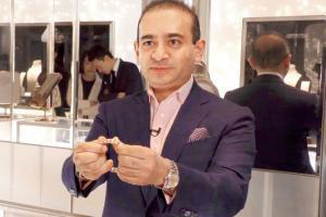 ED seizes Nirav Modi's valuables from Hong Kong