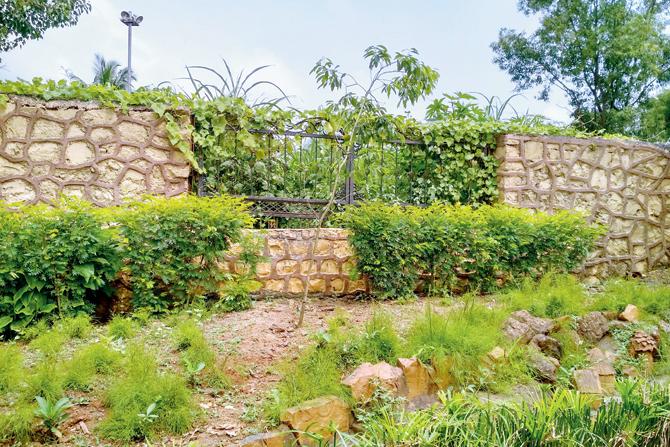 While weeds have left one of the two private access gates unusable, civic officials said the protocol is to remove both gates altogether
