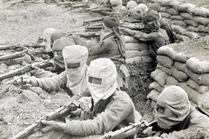 New book paints a picture of the Indian experience during World War I