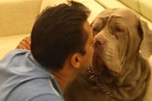 Salman Khan's pet dog My Love passes away