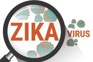 55 cases of Zika virus confirmed; WHO team to visit Jaipur soon