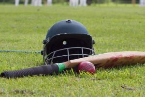 Anmolpreet's 96 puts India Blue on top in Duleep final 