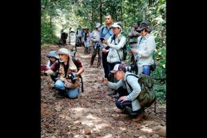 Go wild with your camera phone