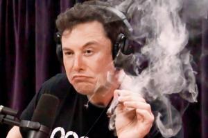 Elon Musk seen smoking weed on live web show