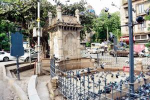 Mumbai: Kothari Pyaau to be opened for thirsty citizens after one year