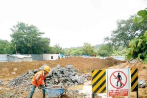 Activists slap three complaints on MMRC over Aarey work