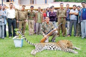 Trigger-happy shooter joins hunt for rogue tigress T1