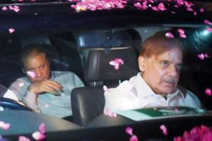 Pakistan NAB to challenge release of Sharif and family in SC