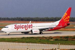SpiceJet to start dedicated air cargo services from September 18