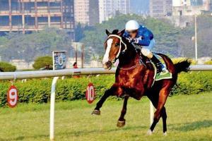 Horse racing: Visitors hold sway in Indian St Leger