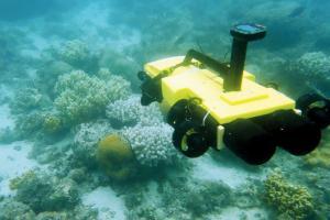 Starfish-killing robot to protect Barrier Reef unveiled by Australian Researcher