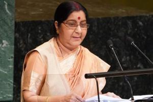 Sushma Swaraj: 'One Sun, One Grid' could help tackle climate change