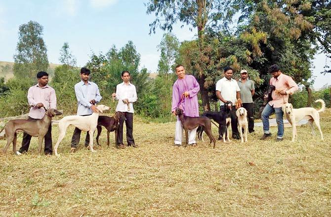 Tejas Kamlakar with other dog experts in Kohlapur where he keeps 40 dogs of native Indian breeds