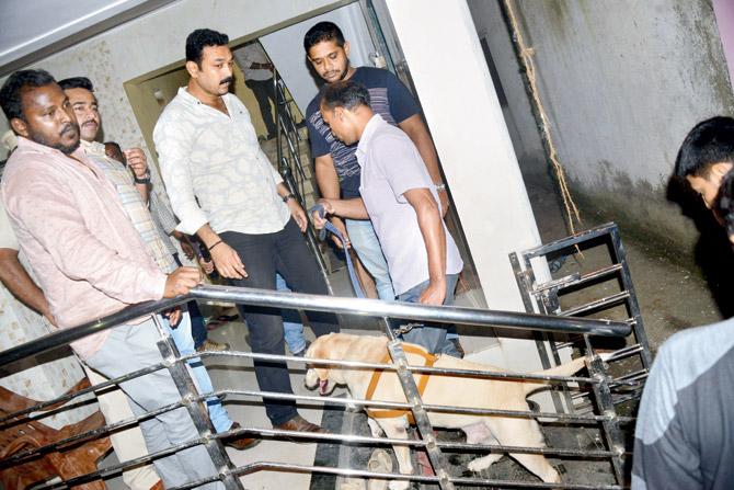 ATS officers had seized 20 bombs from Vaibhav Raut