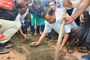 Delhi CM Arvind Kejriwal launches mass plantation drive across capital