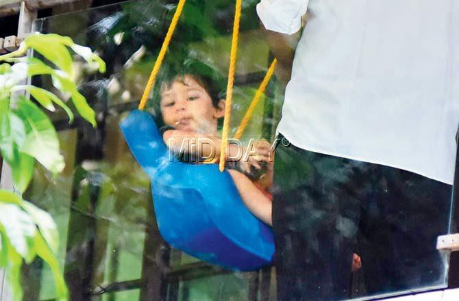 Taimur snapped on a swing at his Bandra residence. Pic/Shadab Khan