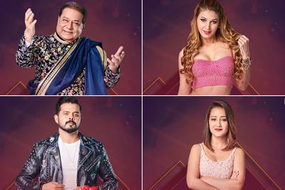 Bigg Boss 12: From TV heartthrobs to farmer, know the contestants