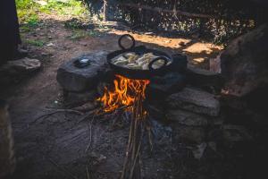 Eating food cooked on wood, coal may impair your lungs