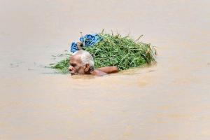 Flood threat looms over Patna district after Madhya Pradesh water release