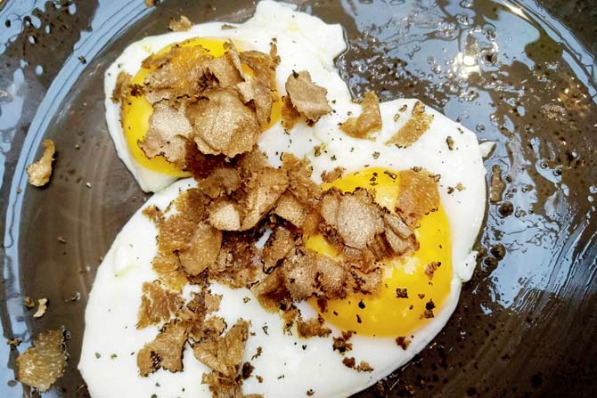 Fried eggs with truffles