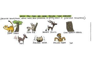 Green Humour: Comic Strip By Rohan Chakravarty