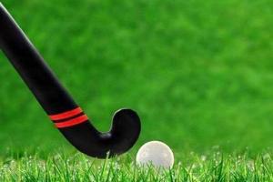 Odisha promotes sports tourism with men's hockey world cup