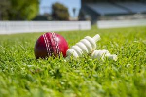 Cricket chiefs vigiliant over Twenty20 corruption risks