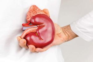 Kidney disease biomarker may indicate COPD risk