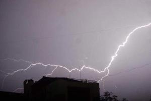 Jammu and Kashmir: 100 livestock killed in lightning strike