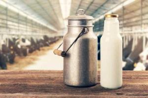 Rs 225 crore subsidy for milk farmers delayed due to bank a/c details