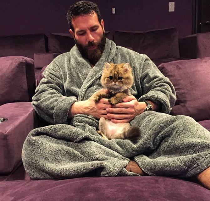 Dan bilzerian shop cat breed