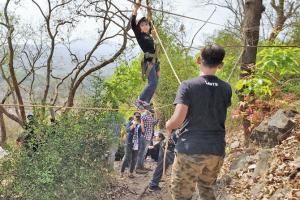 Jungle jam