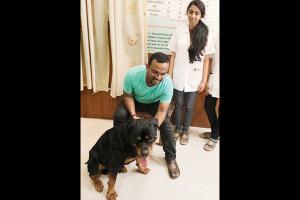 Bombay Veterinary Hospital organises a blood donation camp for dogs
