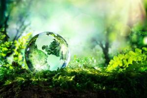 Earth Day: Saving the planet may cost dollar 100 billion per year