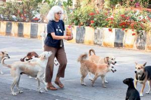 These keepers make sure that stray dogs don't sleep empty stomach