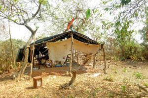 Mumbai: Aarey forest being burnt to build hutments inside