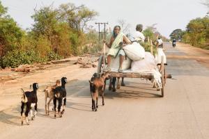Amid threats from naxals, Gadchiroli braces for LS polls on April 11