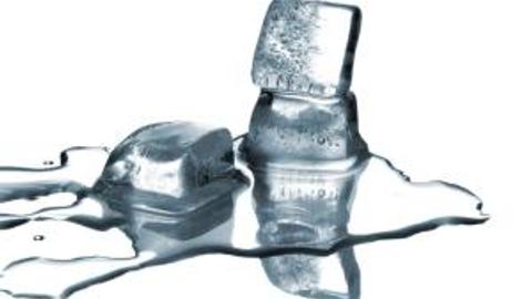 The Scientific Method – Marsali @ Hornby High