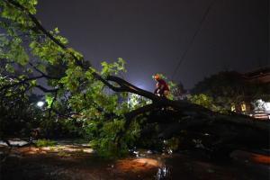 11 people killed in unseasonal thunderstorms in Maharashtra