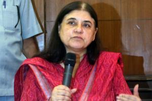 Elections 2019: Maneka Gandhi asks Muslims to vote for her to get jobs