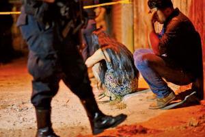 Gunmen kill 13 at Mexican party