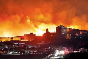South Korea declares giant forest fire 'national disaster'