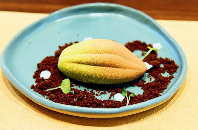 Story of cacao
